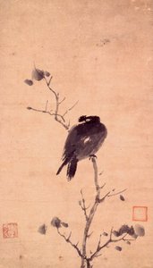 Myna Bird by Mu Xi